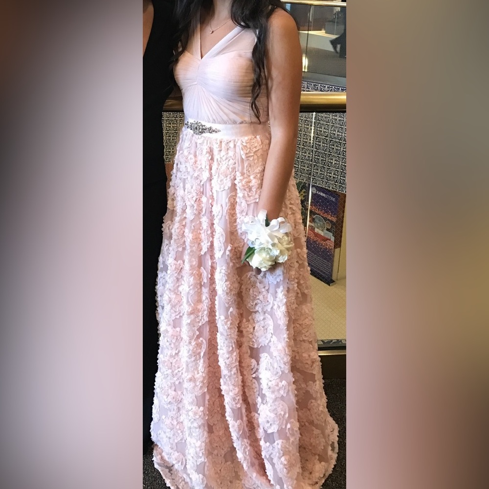 Adrianna Papell Blush Pink Evening Gown Dress